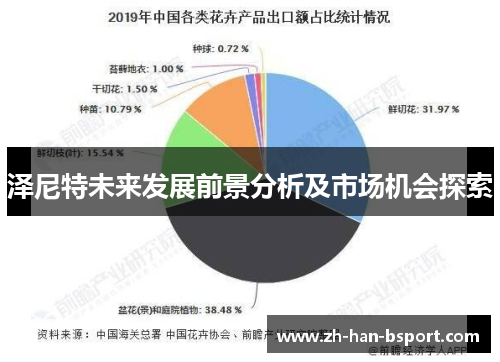 泽尼特未来发展前景分析及市场机会探索 泽尼特未来发展前景分析及市场机会探索