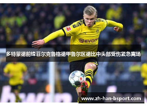 多特蒙德前锋菲尔克鲁格德甲鲁尔区德比中头部受伤紧急离场 多特蒙德前锋菲尔克鲁格德甲鲁尔区德比中头部受伤紧急离场