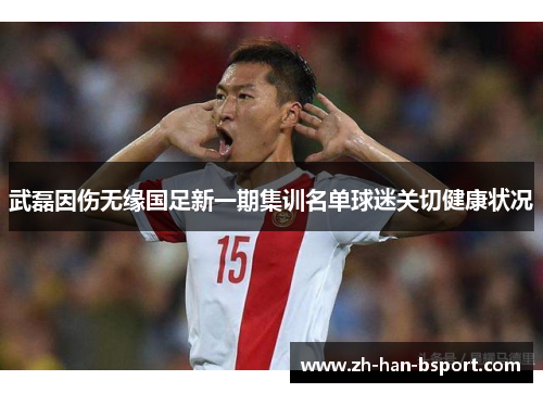 武磊因伤无缘国足新一期集训名单球迷关切健康状况 武磊因伤无缘国足新一期集训名单球迷关切健康状况