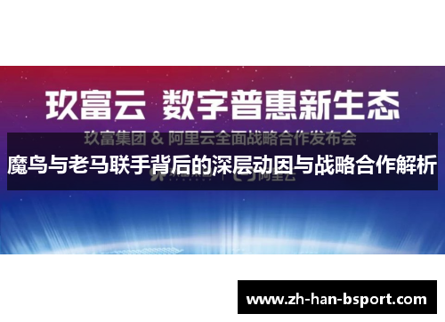 魔鸟与老马联手背后的深层动因与战略合作解析 魔鸟与老马联手背后的深层动因与战略合作解析
